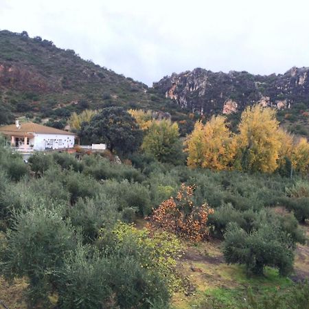 Villa La Quinta Priego de Córdoba Extérieur photo