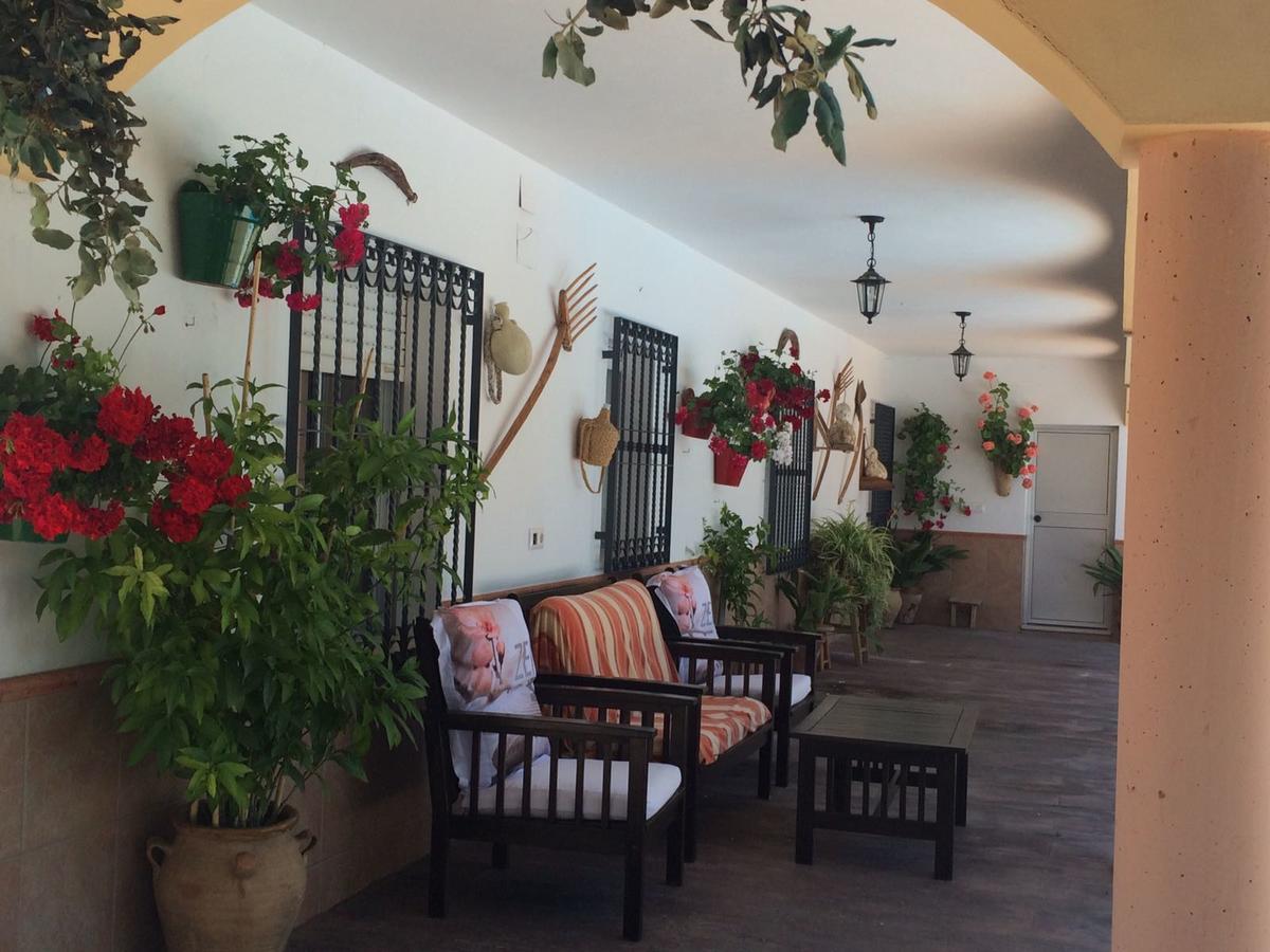 Villa La Quinta Priego de Córdoba Extérieur photo