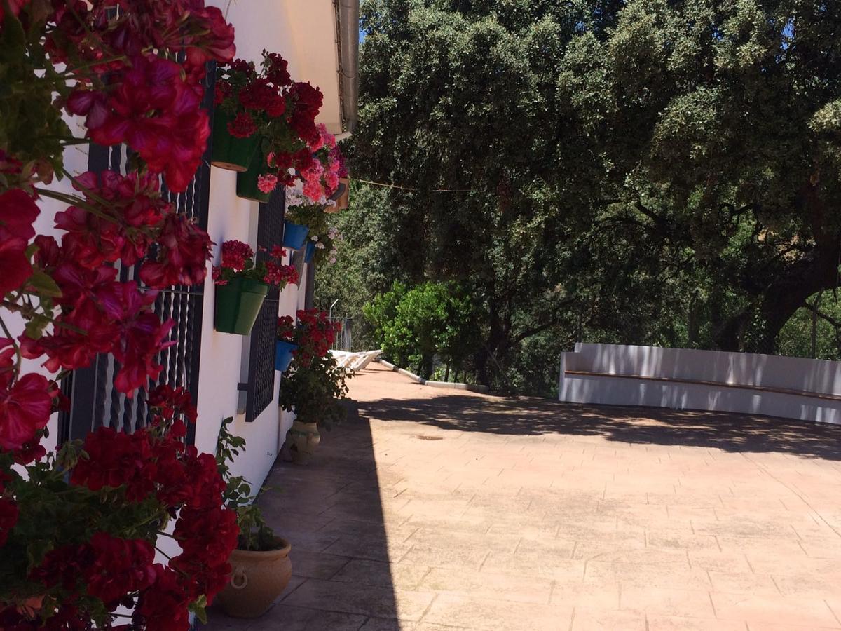 Villa La Quinta Priego de Córdoba Extérieur photo
