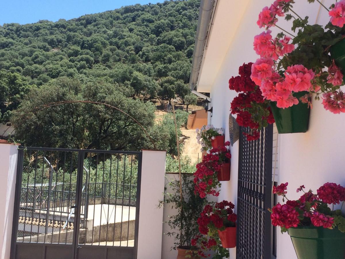 Villa La Quinta Priego de Córdoba Extérieur photo