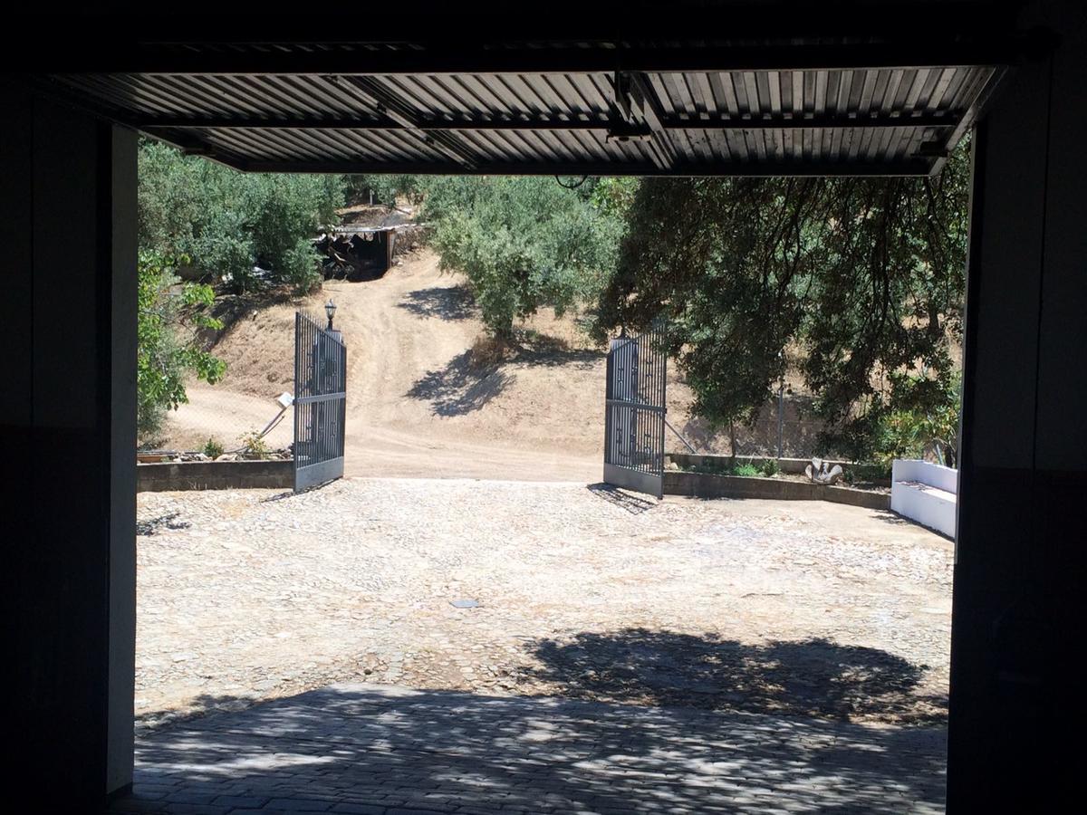 Villa La Quinta Priego de Córdoba Extérieur photo