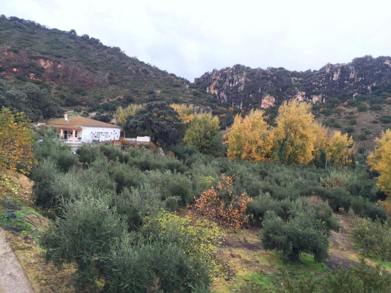 Villa La Quinta Priego de Córdoba Extérieur photo