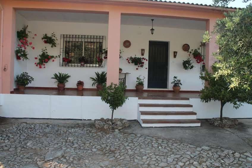 Villa La Quinta Priego de Córdoba Extérieur photo